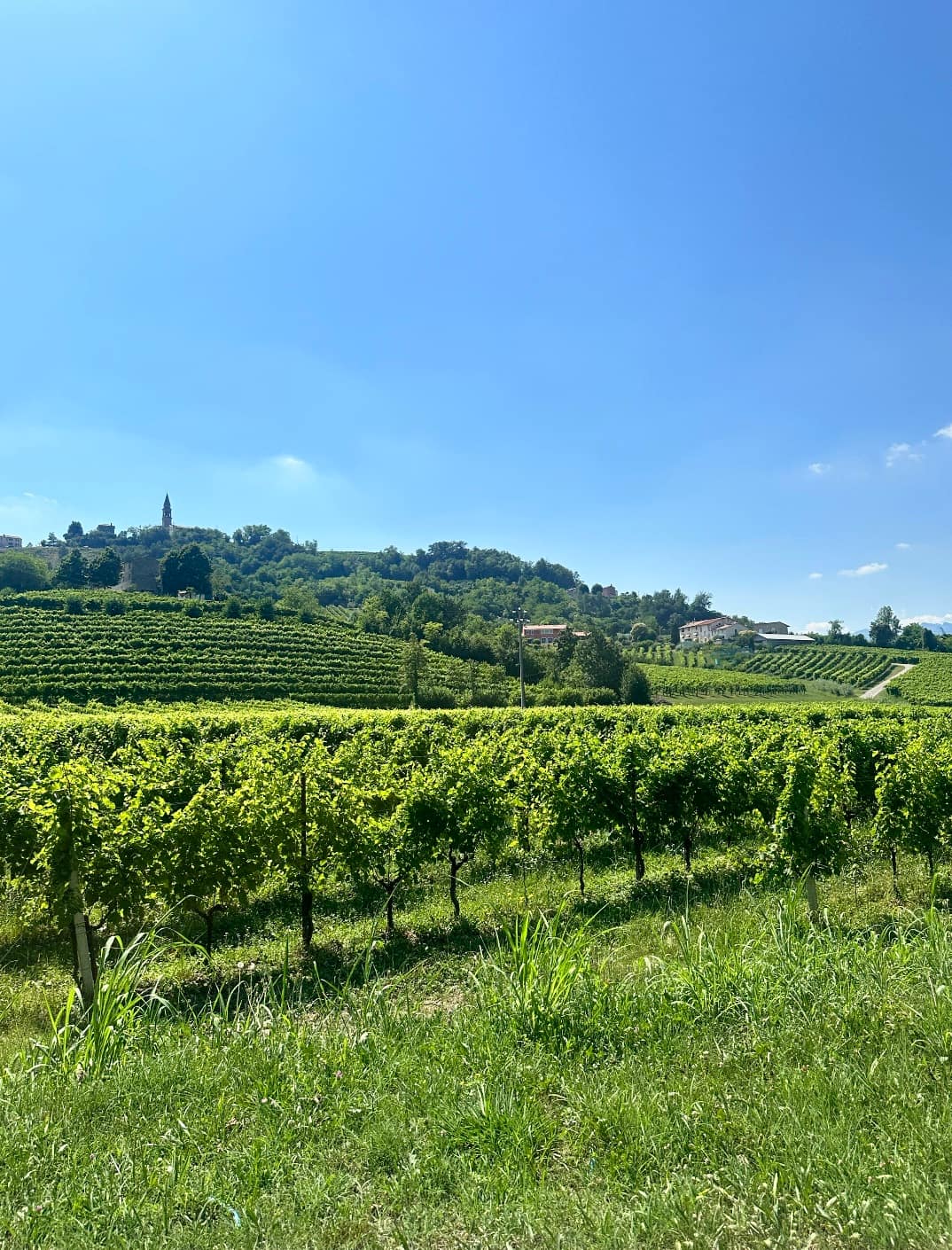 The UNESCO Prosecco hills
